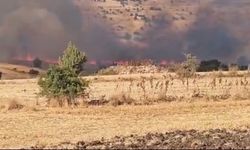 Tarım arazisinde yangın çıktı