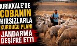 Kırıkkale'de çobanın hırsızlarla kurduğu planı jandarma deşifre etti