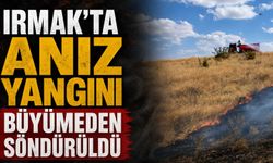 Irmak’ta anız yangını korkuttu