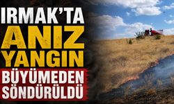 Irmak’ta anız yangını korkuttu