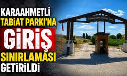 Karaahmetli Tabiat Parkı’na giriş sınırlaması getirildi
