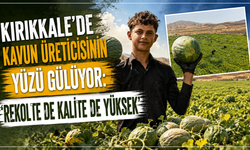 Kırıkkale'de kavun üretcisinin yüzü gülüyor: 'Rekolte de kalite de yüksek'