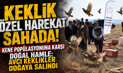 Kene popülasyonuna karşı doğal hamle: Avcı keklikler doğaya salındı