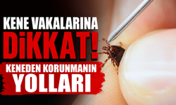 Kene vakalarına dikkat! Keneden korunmanın yolları
