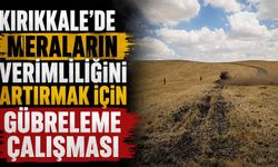 Kırıkkale’de meraların verimliliğini artırmak için gübreleme çalışması