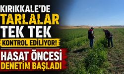 Kırıkkale’de tarlalar tek tek kontrol ediliyor: Hasat öncesi denetim başladı
