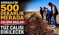 Kırıkkale’de 500 dekarlık merada çalışma başladı: Tuz çalısı dikilecek