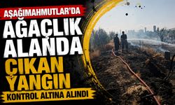Aşağımahmutlar'da ağaçlık alanda çıkan yangın kontrol altına alındı