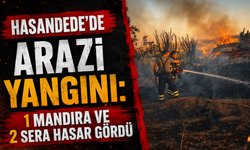Hasandede’de arazi yangını: 1 mandıra ve 2 sera hasar gördü