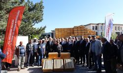 400 arı kovanı dağıtılacak