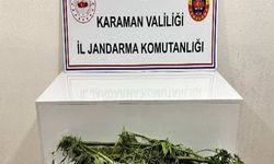 Jandarmanın yakaladığı 31 şahıstan 11'i tutuklandı