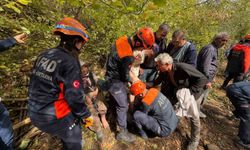 Kaybolan yaşlı çift, ekipler tarafından sağ olarak bulunarak kurtarıldı