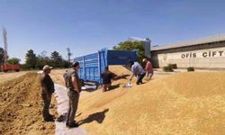 TMO'dan 2 milyon tona yakın hububat alımı