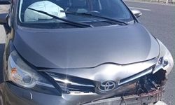 Yola aniden çıkan koyun kazaya sebep oldu, 1 yaralı