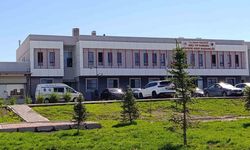 Yolun karşısına geçerken otomobil çarpan yaşlı adam öldü