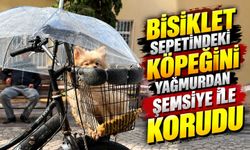 Bisiklet sepetindeki köpeğini yağmurdan şemsiye ile korudu