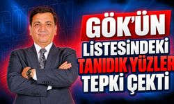 GÖK'ÜN LİSTESİNDEKİ TANIDIK YÜZLER TEPKİ ÇEKTİ