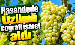Hasandede Üzümü coğrafi işaret aldı