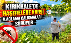 Kırıkkale’de haşerelere karşı ilaçlama çalışmaları sürüyor