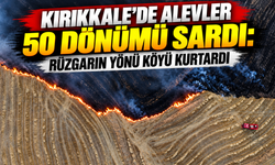 Kırıkkale'de alevler 50 dönümü sardı: Rüzgarın yönü köyü kurtardı