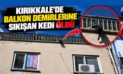 Kırıkkale’de balkon demirlerine sıkışan kedi öldü