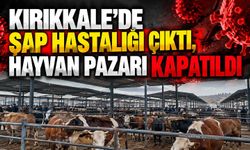 Kırıkkale'de şap hastalığı çıktı, hayvan pazarı kapatıldı