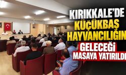 Kırıkkale’de küçükbaş hayvancılığın geleceği masaya yatırıldı