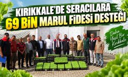 Kırıkkale’de seracılara 69 bin marul fidesi desteği