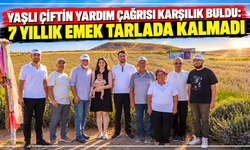 Yaşlı çiftin yardım çağrısı karşılık buldu: 7 yıllık emek tarlada kalmadı