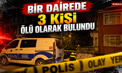 Bir dairede 3 kişi ölü olarak bulundu