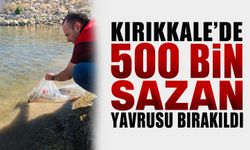 Kırıkkale’de 500 bin sazan yavrusu bırakıldı