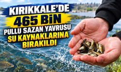 Kırıkkale'de 465 bin pullu sazan yavrusu su kaynaklarına bırakıldı