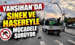 Yahşihan’da sinek ve haşereyle mücadele sürüyor