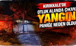 Kırıkkale'de otluk alanda çıkan yangın paniğe neden oldu