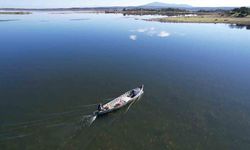 Beyşehir Gölünde avlanan balıkların boyunu kontrol ettiler