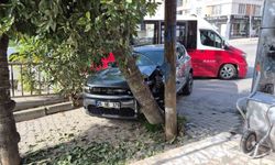Kontrolden çıkan otomobil ağaca çarparak durabildi