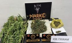 Narkotik operasyonunda 498 gram esrar ele geçirildi