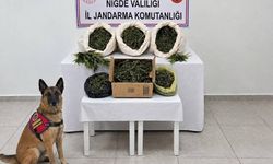 Niğde'de 10 kilo uyuşturucu ele geçirildi