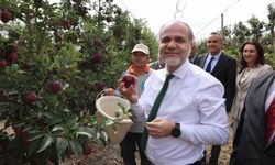 NÖHÜ'de 200 tonun üzerinde elma rekoltesi