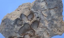 Tavşanlı Höyük'te 4 bin yıllık pati izi bulundu
