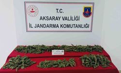Uyuşturucu imal ve ticaretine jandarma darbesi: 3 tutuklama