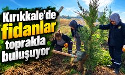 Kırıkkale’de fidanlar toprakla buluşuyor