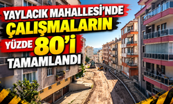 Yaylacık Mahallesi’nde çalışmaların yüzde 80’i tamamlandı