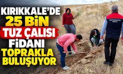Kırıkkale’de 25 bin Tuz Çalısı fidanı toprakla buluşuyor