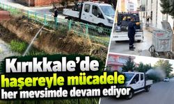 Kırıkkale’de haşereyle mücadele her mevsimde devam ediyor