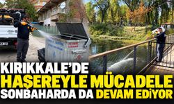 Kırıkkale’de haşereyle mücadele sonbaharda da devam ediyor