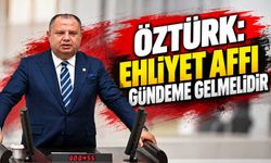 Öztürk: Ehliyet affı gündeme gelmelidir