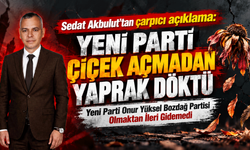YENİ PARTİ ÇİÇEK AÇMADAN YAPRAK DÖKTÜ