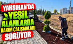 Yahşihan’da yeşil alanlarda bakım çalışmaları sürüyor
