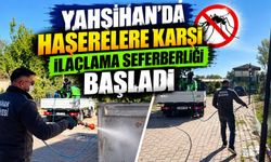 Yahşihan’da haşerelere karşı ilaçlama seferberliği başladı